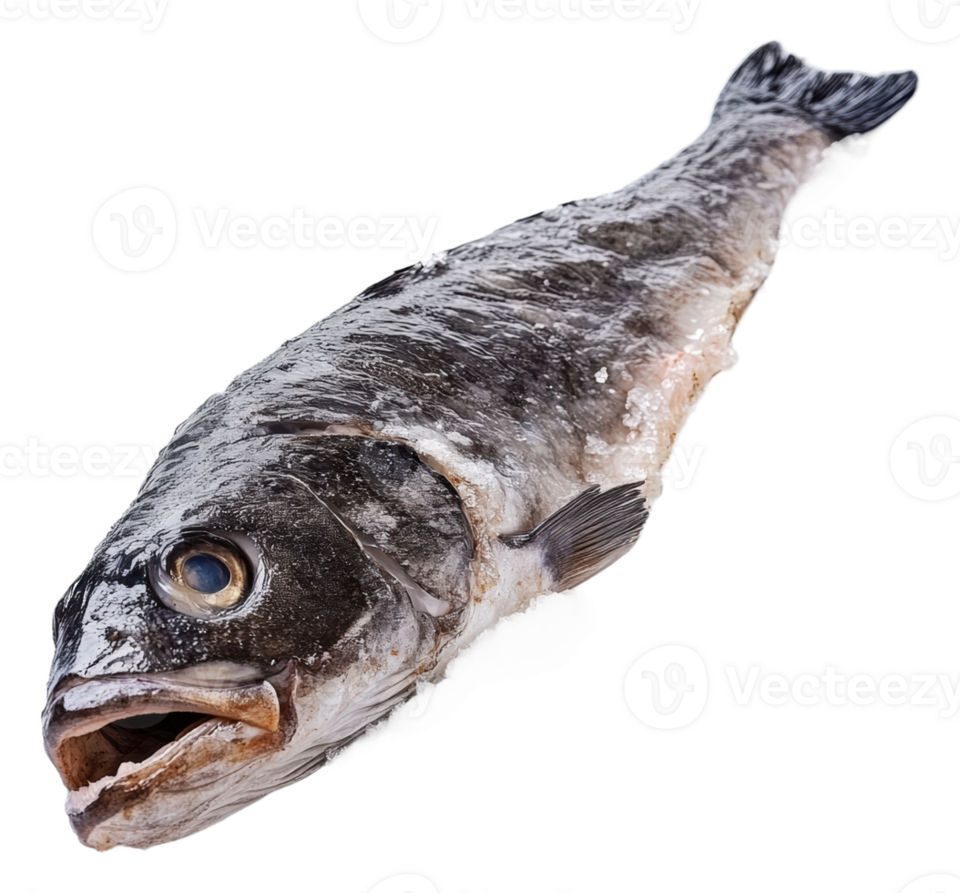 Fresh fish on a clean prep surface png