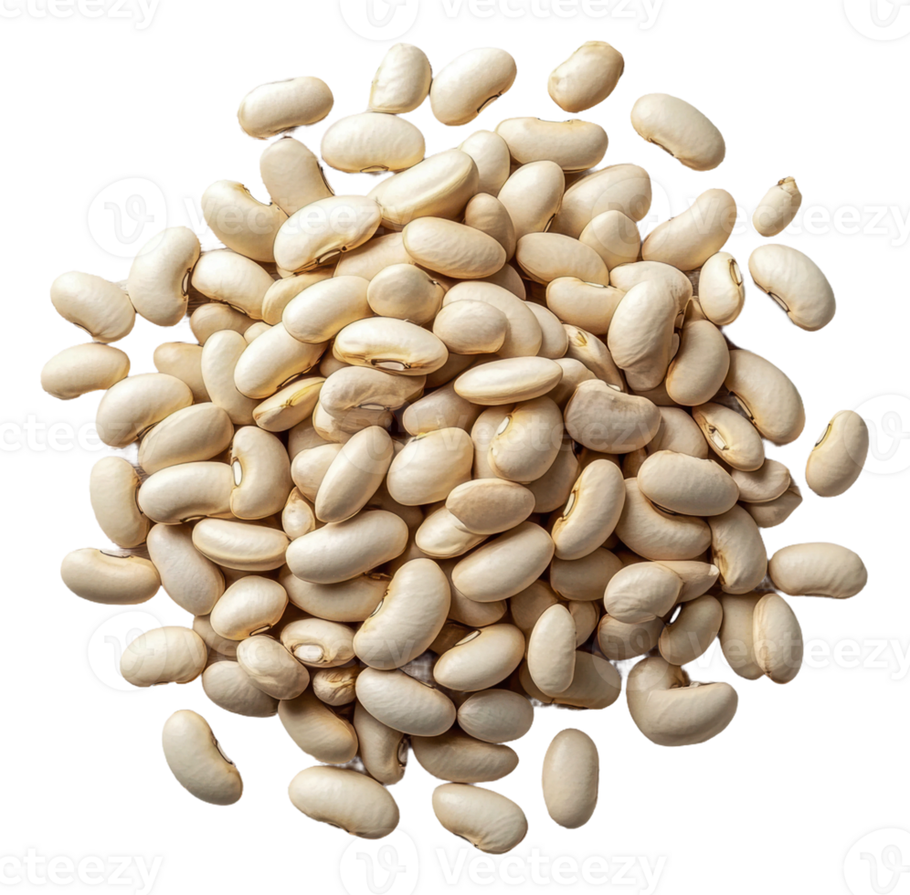 Fresh white beans ready to cook png
