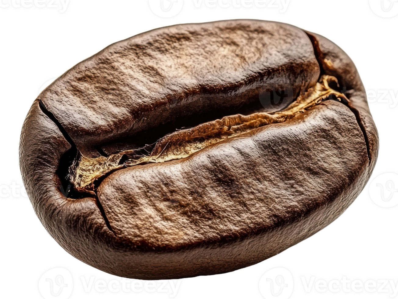 Single roasted coffee bean close-up with texture png