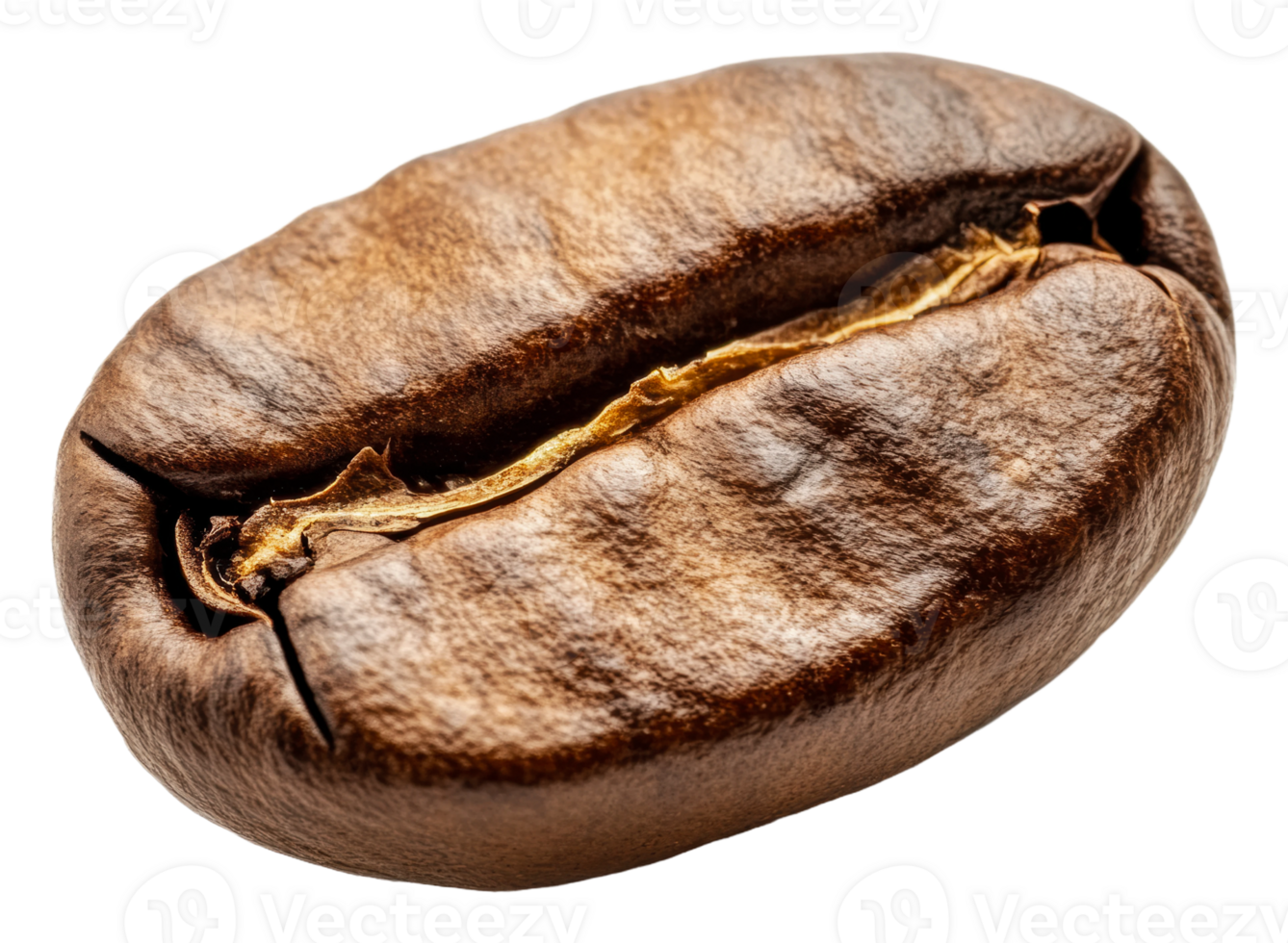 Single roasted coffee bean on white background png