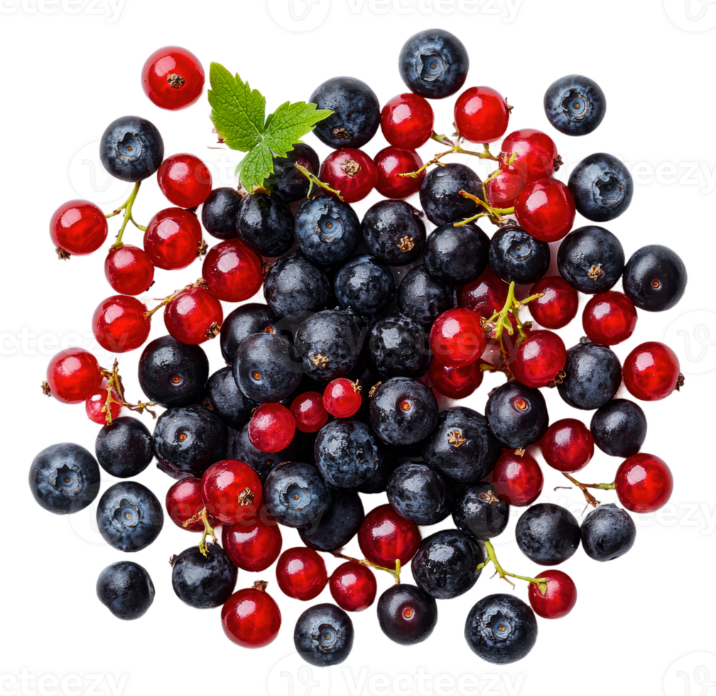 Fresh mixed berries with mint on white background png