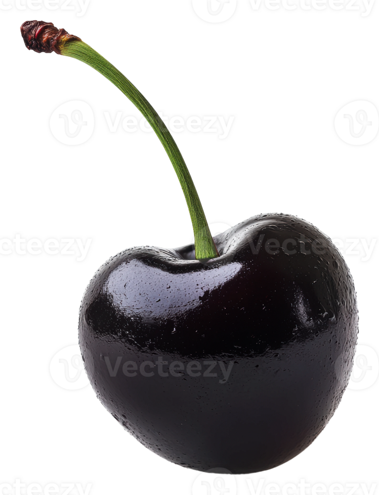 Black cherry with green stem, white bg png