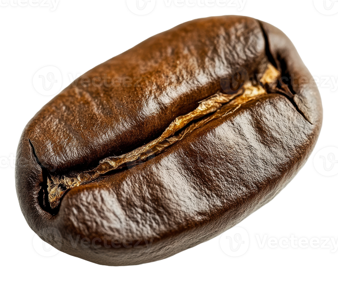Close-up of a single roasted coffee bean png
