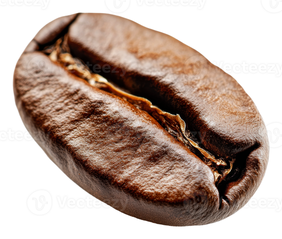 Freshly roasted beans with rich texture png