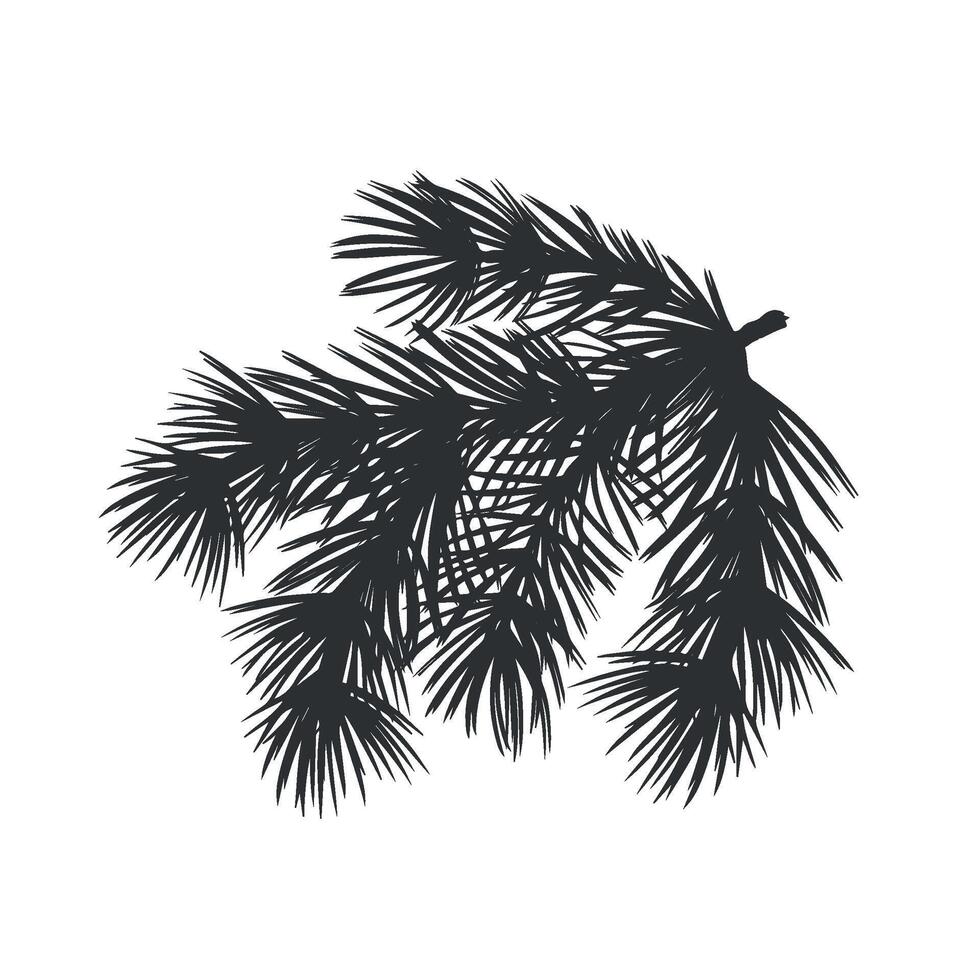 Spruce twig with needles. Pine tree branch. Christmas traditional plant. Graphic illustration. Winter holiday backgrounds for home. Festive clipart for postcard, winow, print, packaging vector