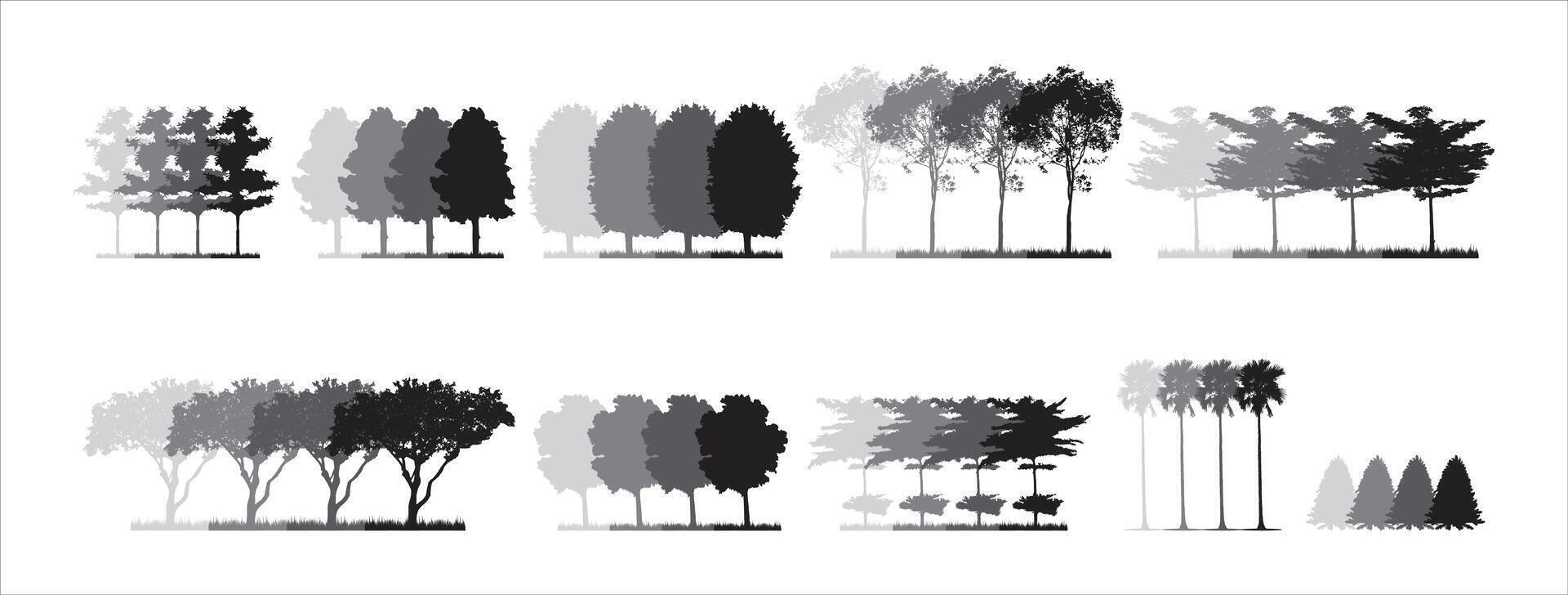 collection of monochrome illustration trees vector