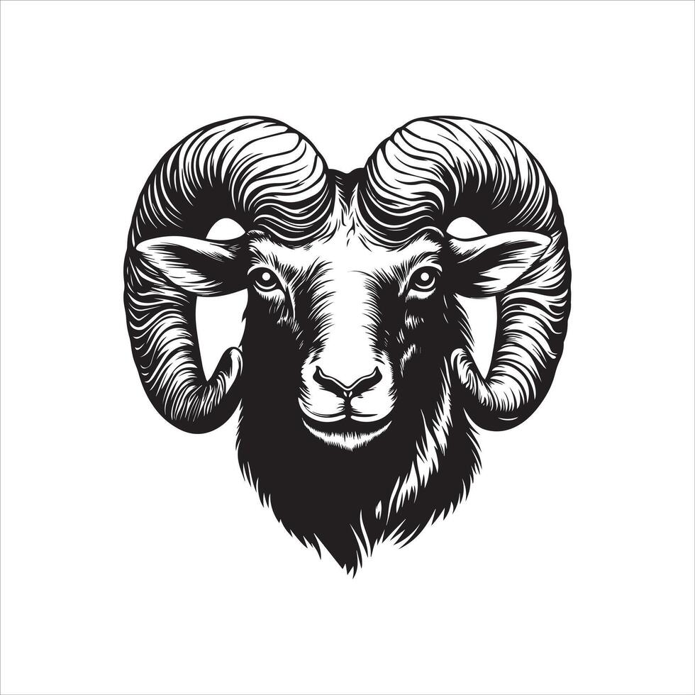 Ram Head Illustration ClipArt for Creative Projects vector
