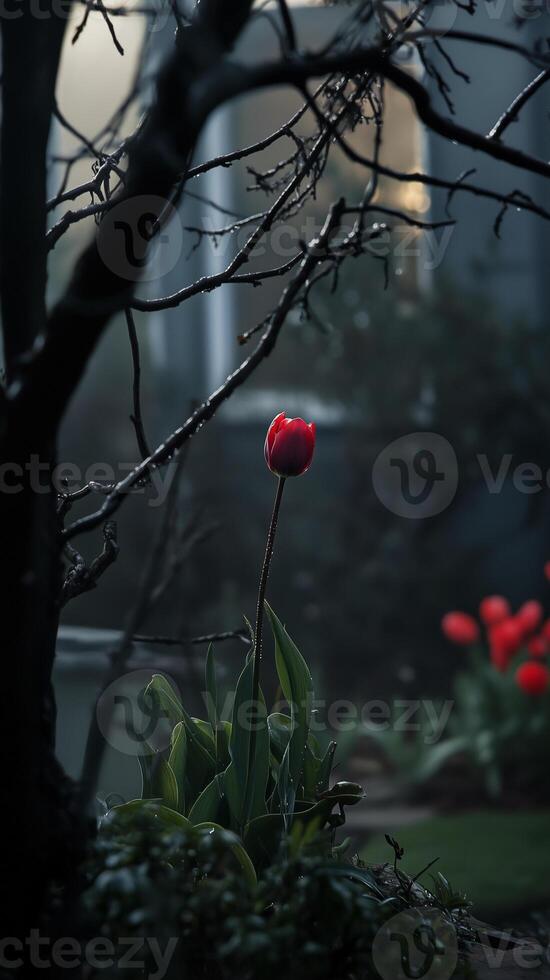 Tulip stems rising from garden beds beneath bare branches in March, wallpaper art photo