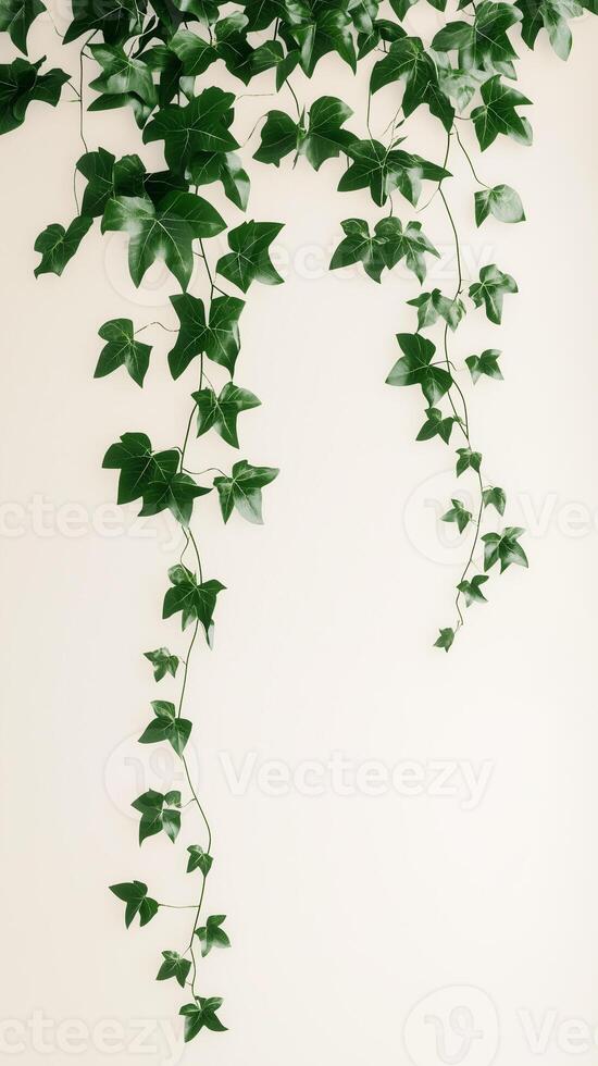 Wandering vine flowing from a ceiling-mounted container, photorealistic wallpaper photo