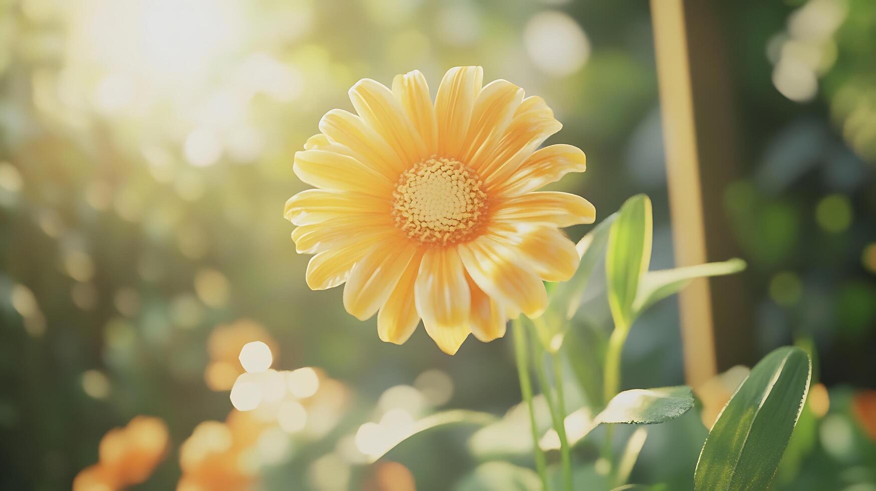 The Pure Beauty of a Garden Flower in Close-up photo