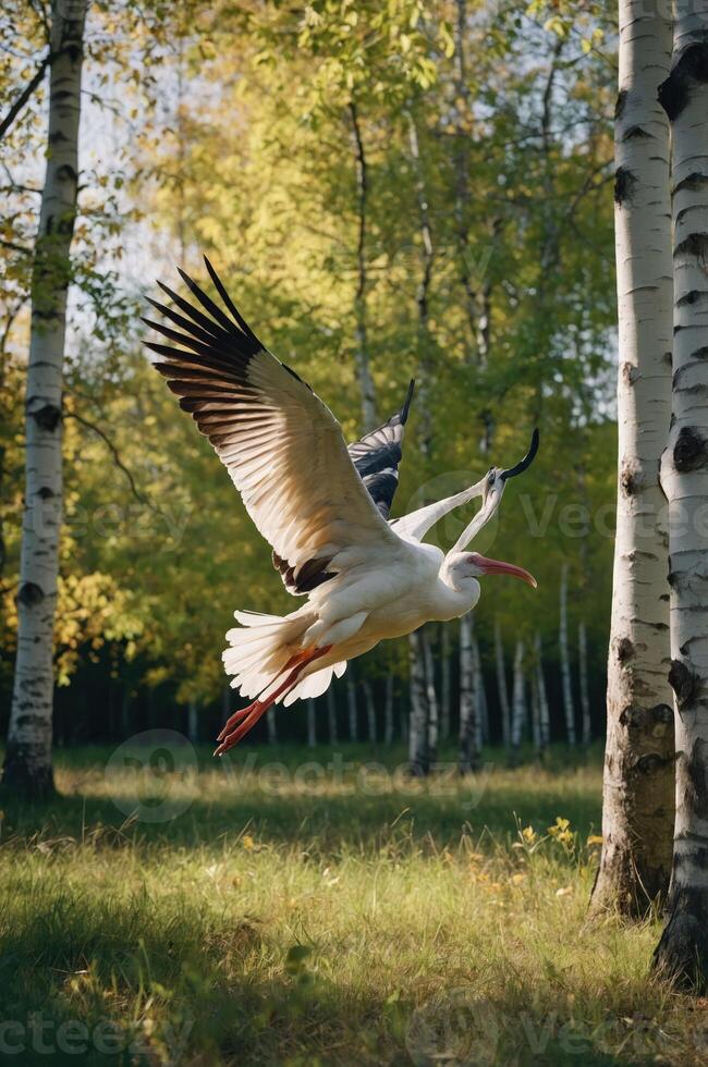 A graceful bird in flight amidst a serene forest backdrop with autumn foliage. photo