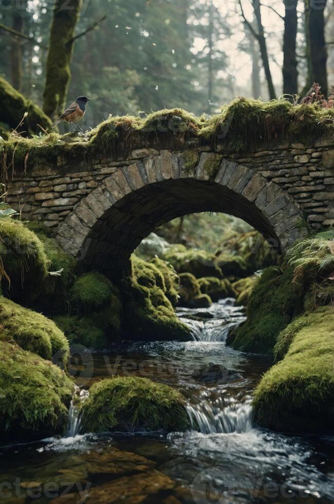A serene stone bridge arches over a mossy stream in a lush forest setting. photo
