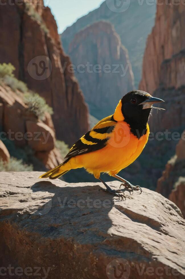A vibrant bird perched on a rock in a canyon, showcasing nature's beauty. photo
