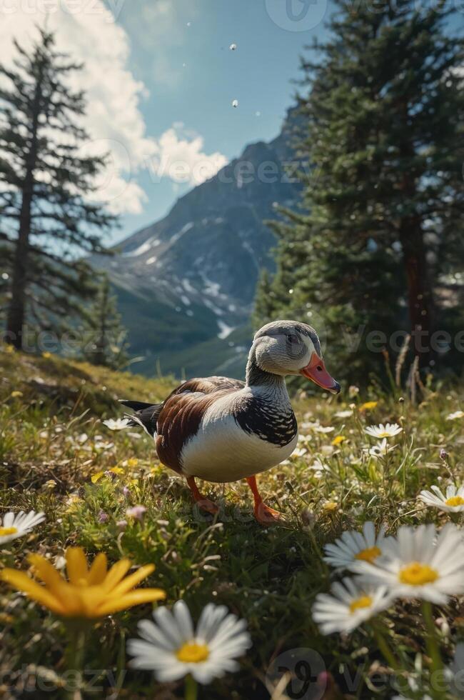A duck walks through a meadow filled with flowers, set against a mountain backdrop. photo