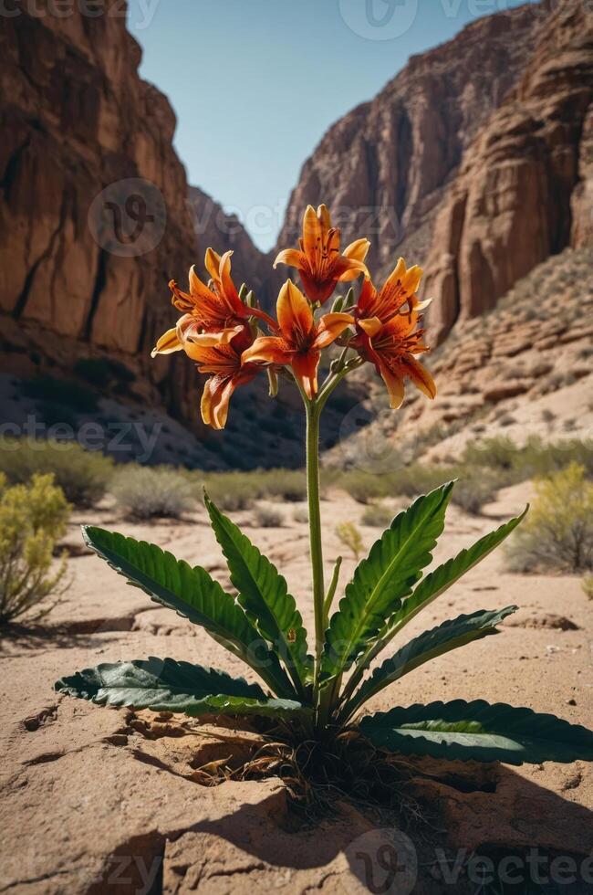 A vibrant orange flower blooms in a rocky canyon, showcasing nature's resilience. photo