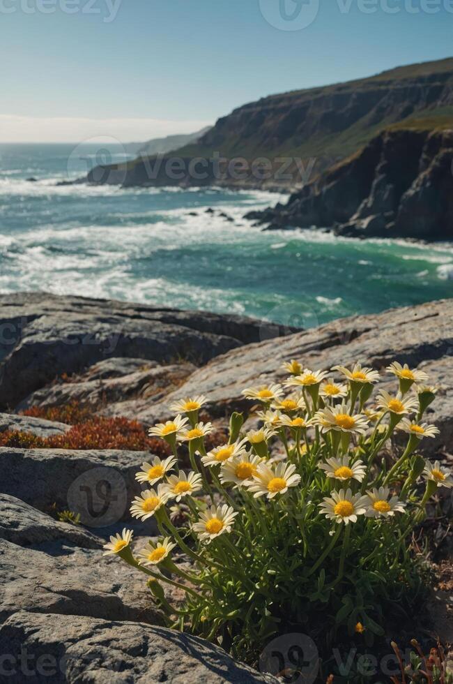 A vibrant cluster of daisies blooms on rocky cliffs overlooking a serene ocean view. photo