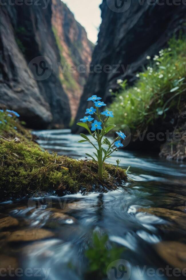 A serene river scene featuring a blue flower amidst moss and rocky cliffs. photo