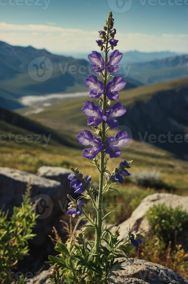 A tall purple flower stands against a mountainous landscape, showcasing natural beauty. photo