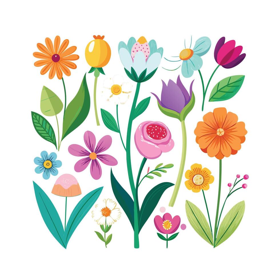 Spring flower collection vector