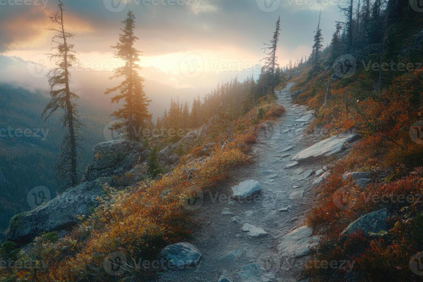 A Winding Mountain Trail Through a Misty Forest at Sunset photo