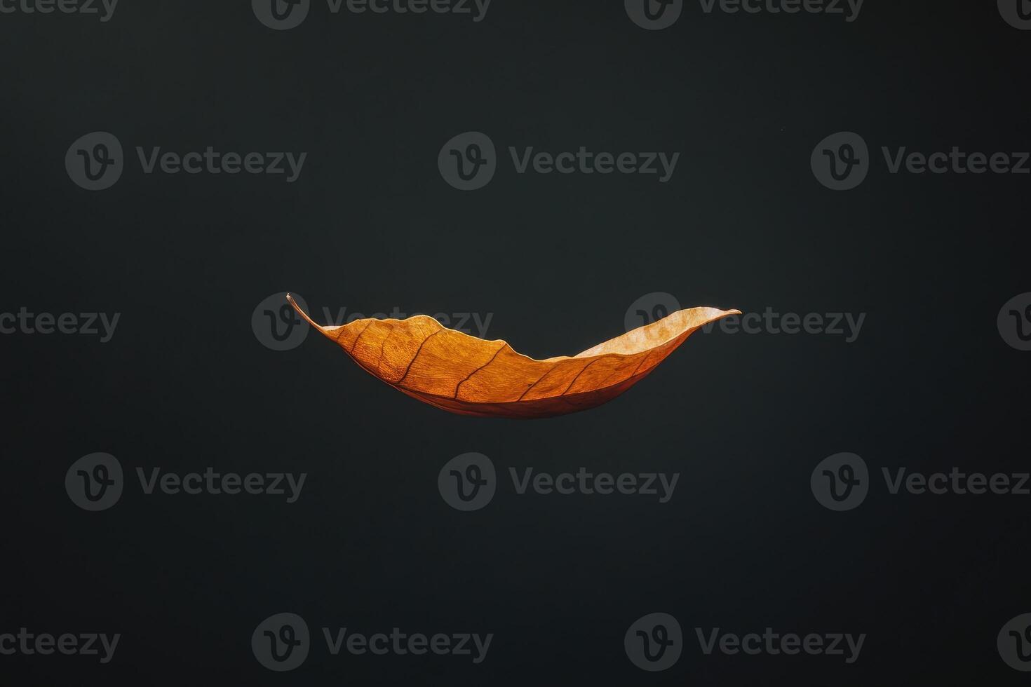 A Single, Dried, Brown Leaf Floating in Mid-Air photo