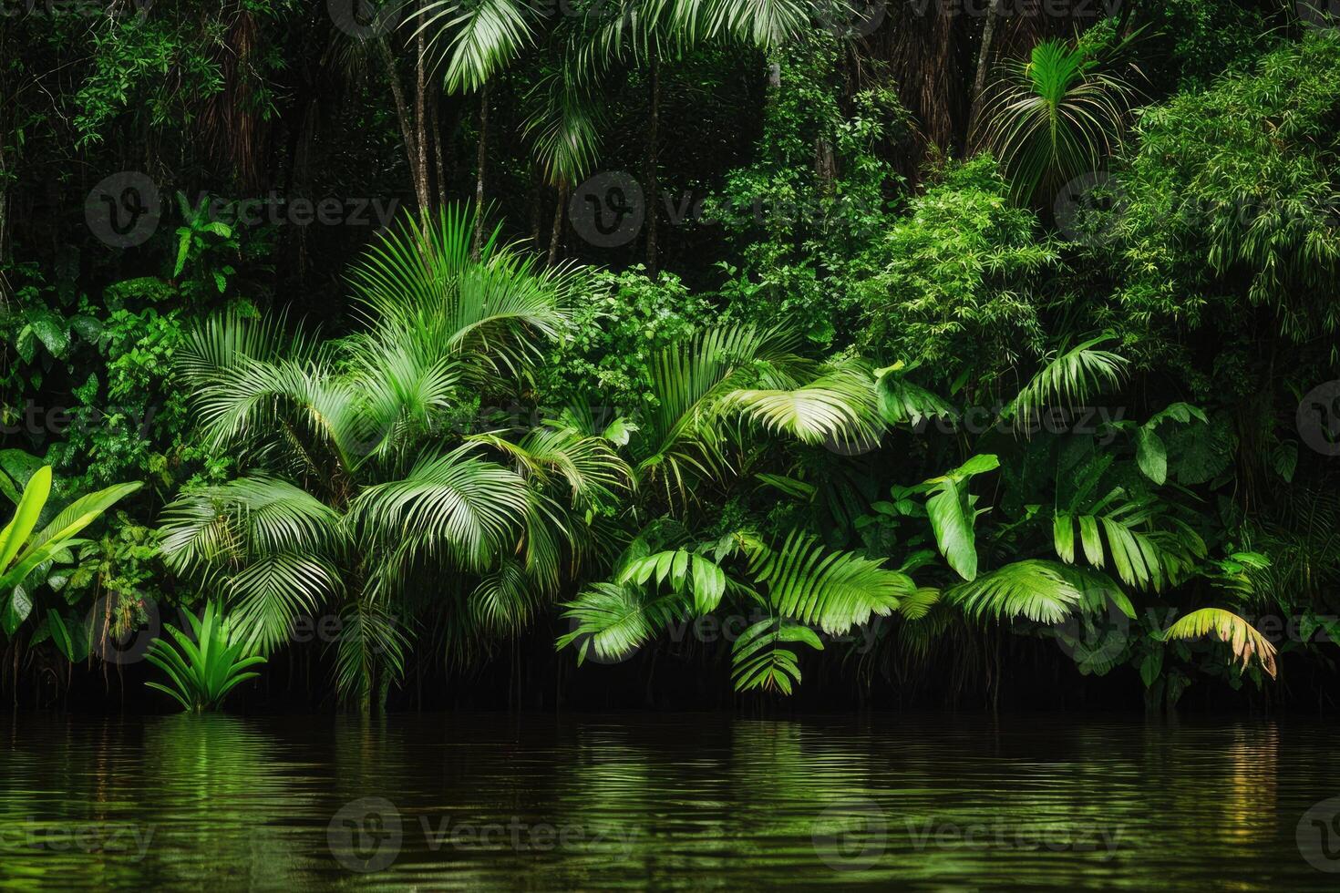 Lush Tropical Rainforest Bordering a Still River photo