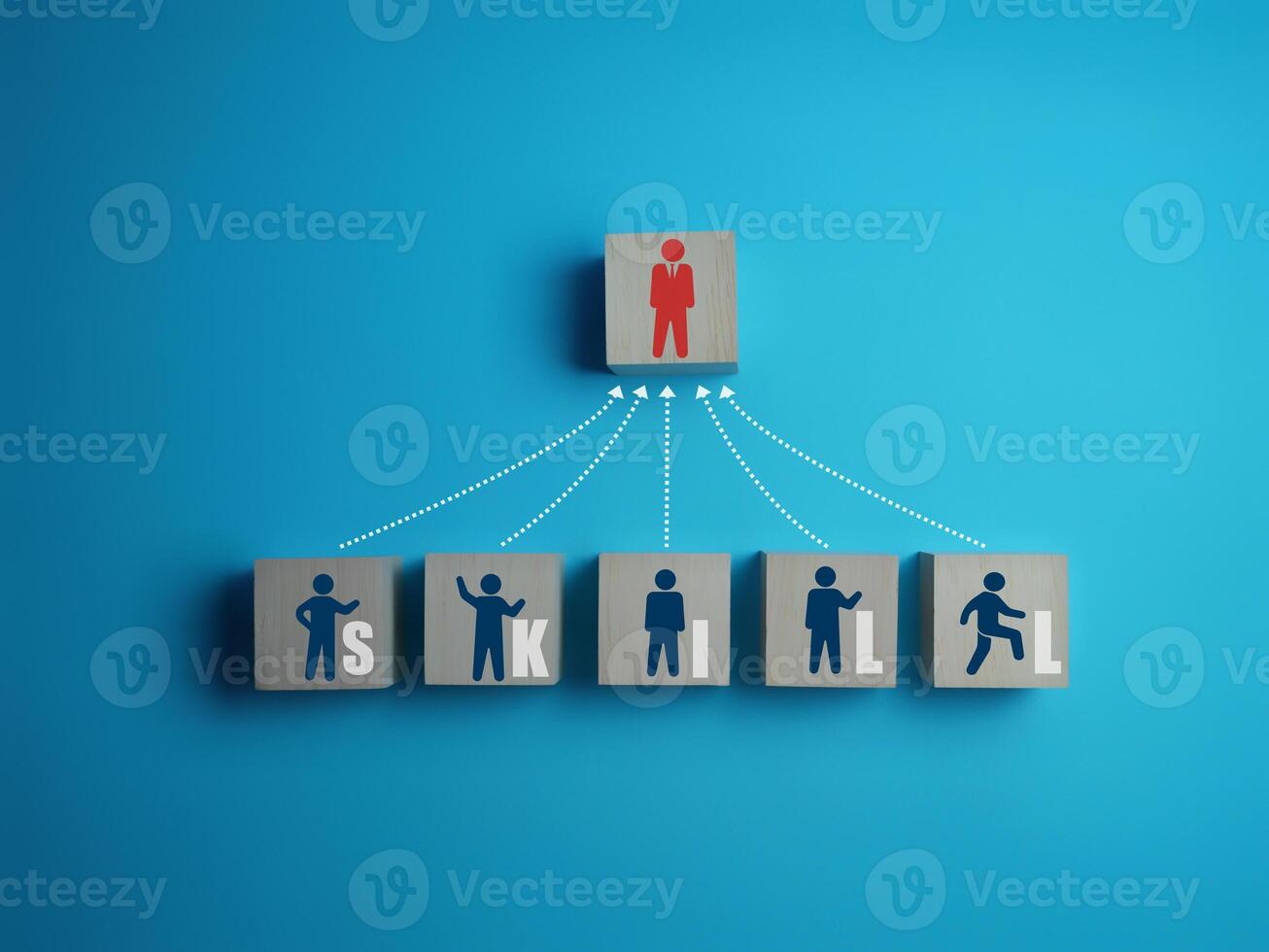 Business Competence, Executive Leadership Skills and Differences photo