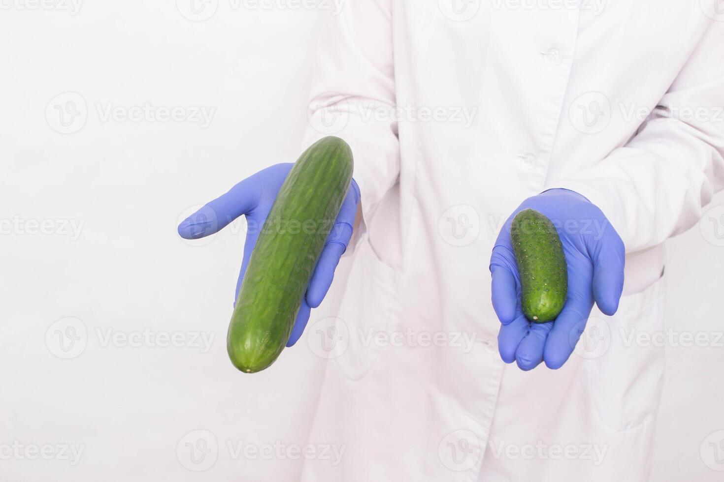 A doctor in medical gloves holds two different sized cucumbers. Concept of increasing penis in men, ligamentotomy photo