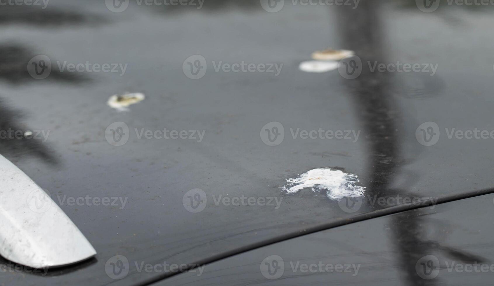 Bird droppings on the paintwork of a gray car. Concept of paint corrosion, damage, close-up photo