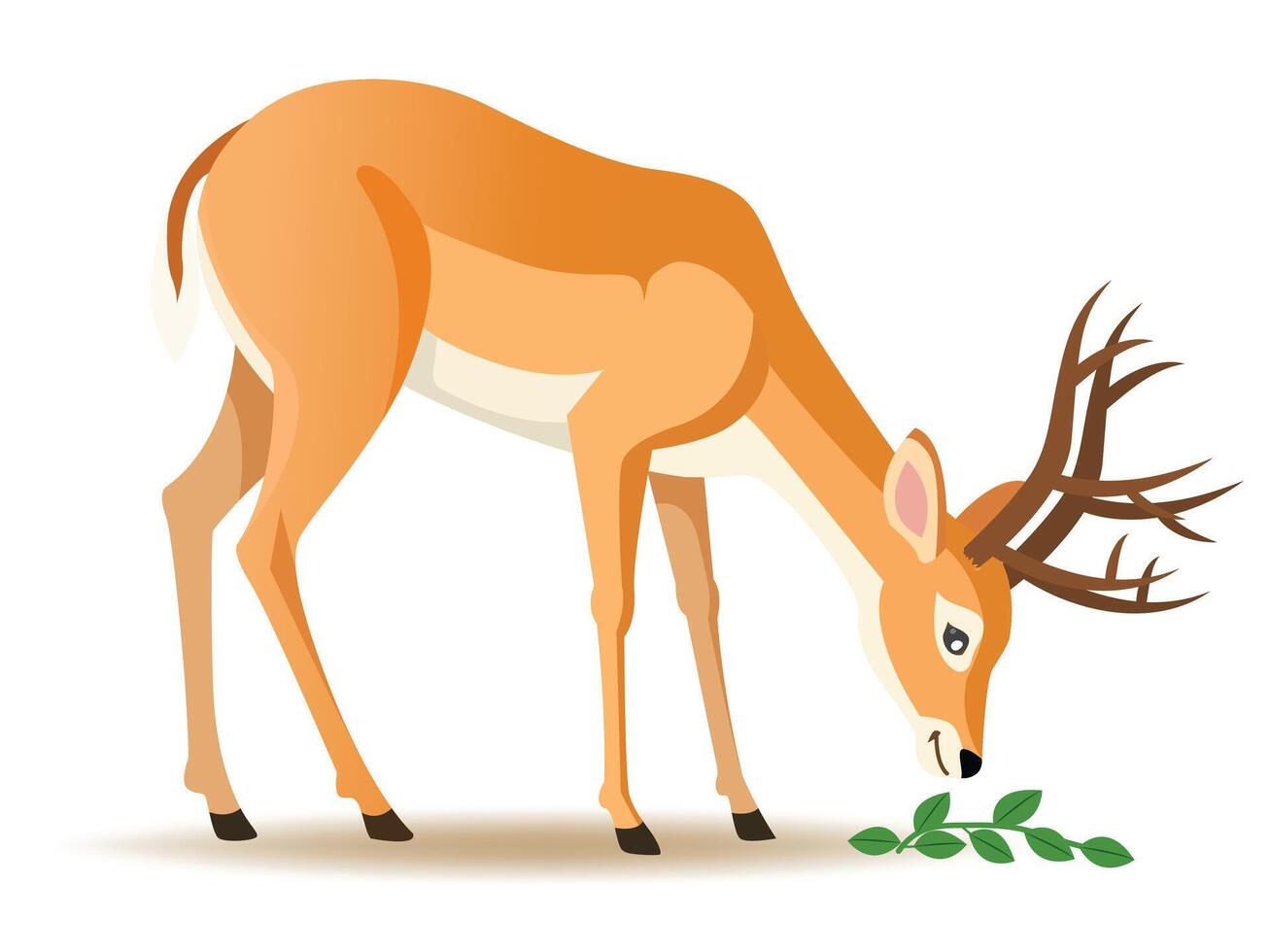 Illustration of Herbivores Deer Feeding on Plants vector