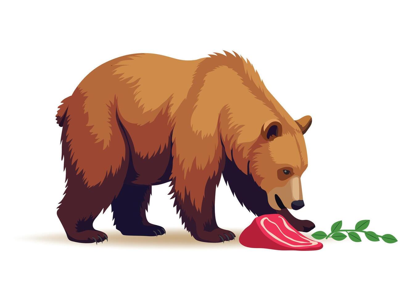 Illustration of Omnivores Bear Eating Both Meat and Plants vector