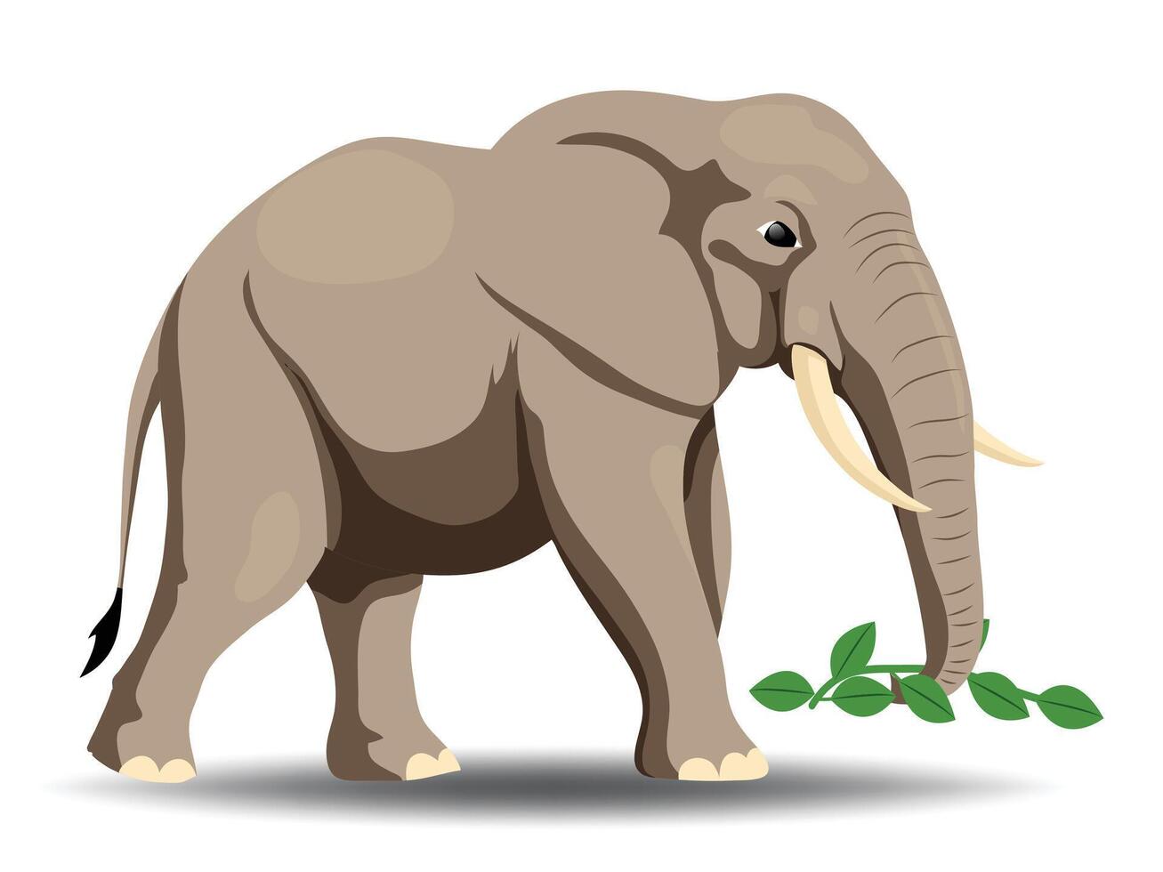 Illustration of Herbivores Elephant Feeding on Plants vector