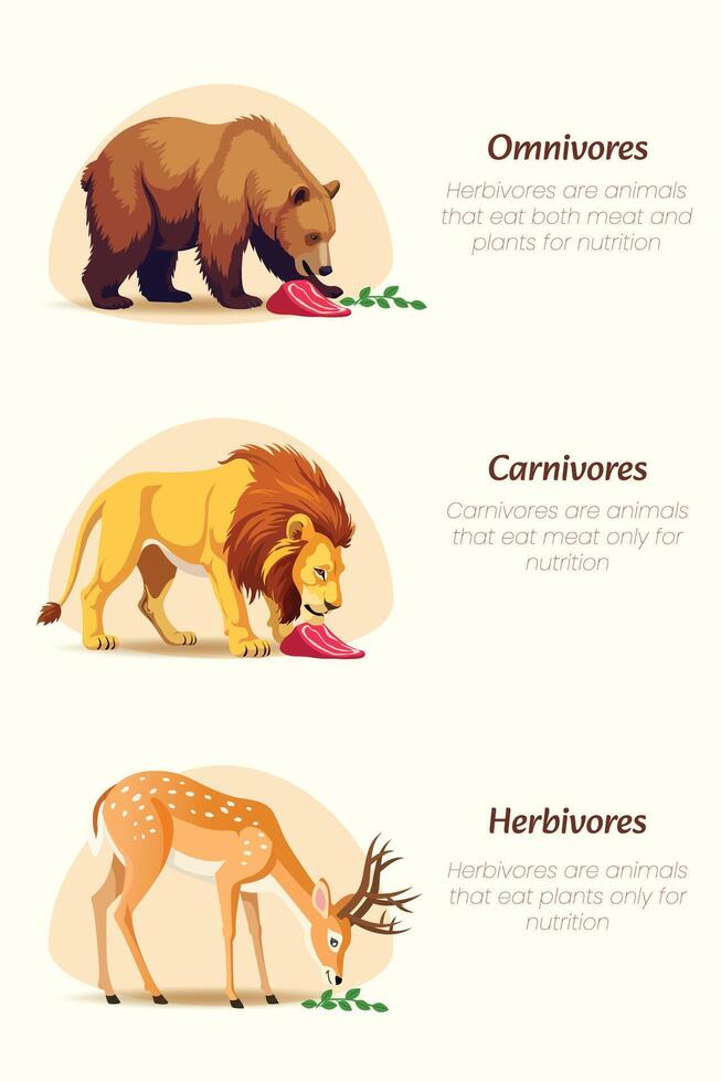 Illustration of Carnivores, Omnivores, and Herbivores Lion, Bear, and Deer Eating Habits vector