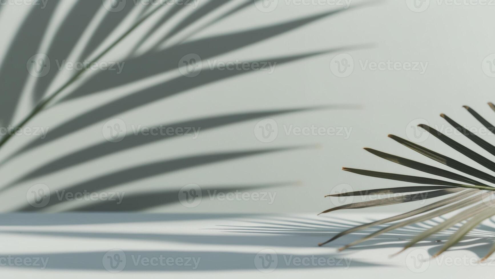 Minimal Abstract Background with Blurred Palm Leaf Shadows on Light Blue Surface. photo