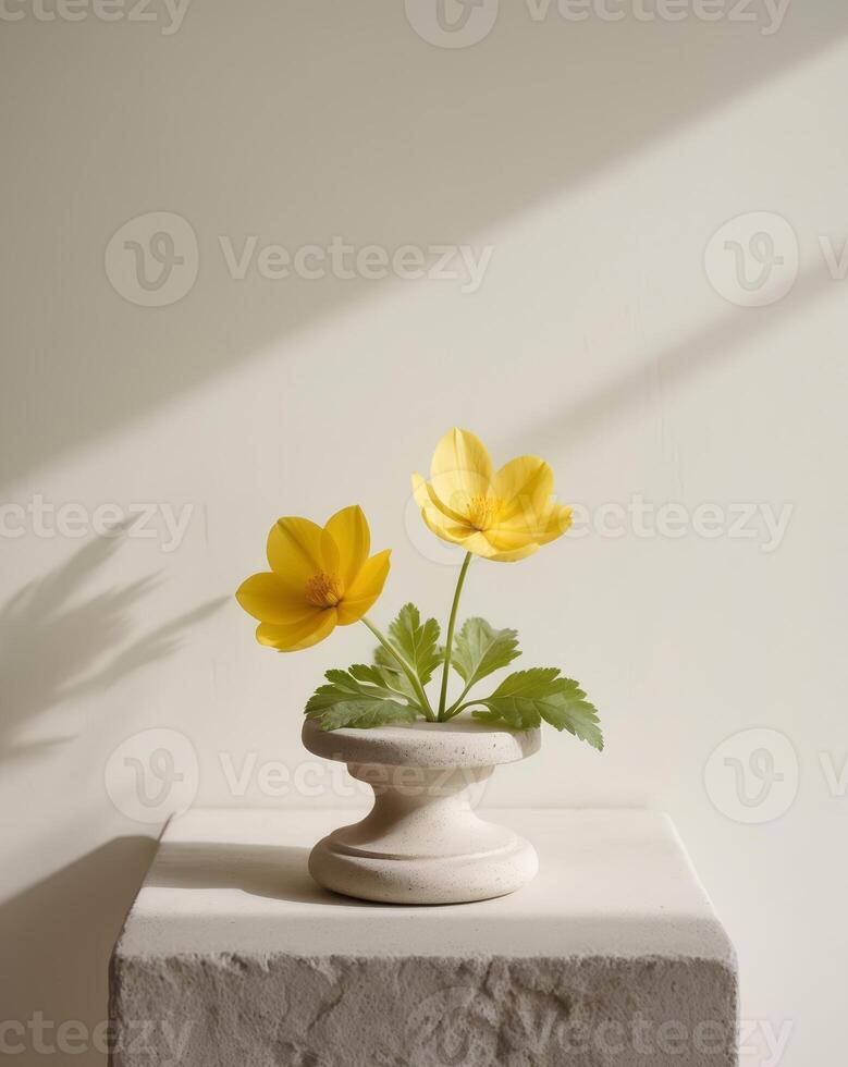 Bright yellow flower with green leaves showcased on a stone in a serene indoor setting photo