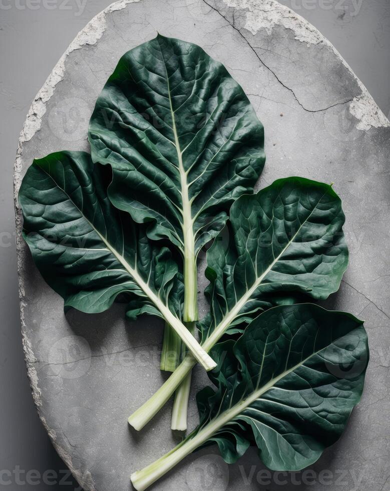 Freshly cut collard greens on stone surface showcasing broad dark green leaves with visible veins photo