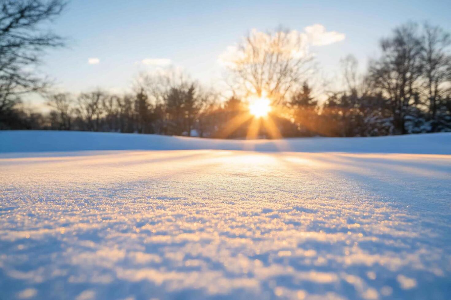 A serene winter landscape with sunlight glistening on fresh snow. photo