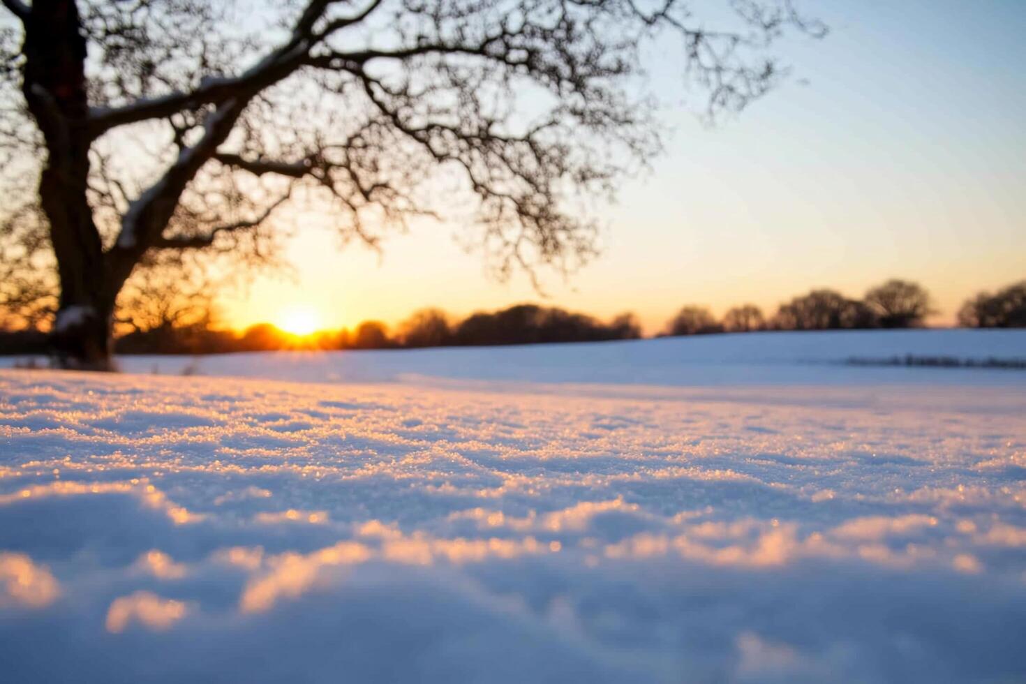 Snow-covered landscape at sunset with a tree silhouette. photo