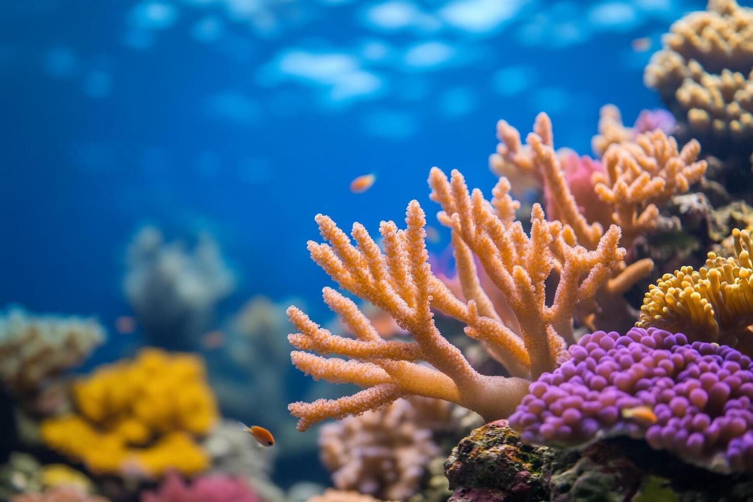 Vibrant coral reef teeming with colorful marine life. photo