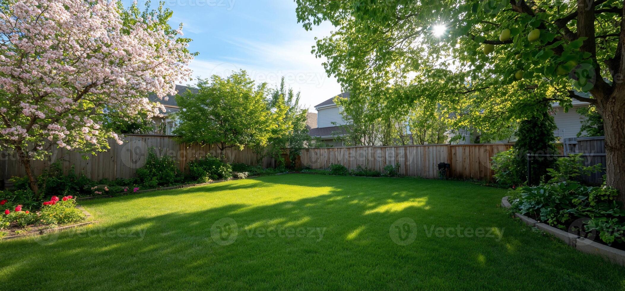 A serene backyard with lush grass and blooming trees under a clear sky. photo
