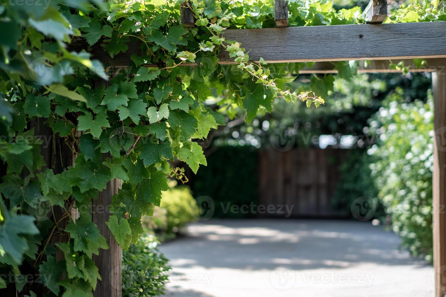 A serene garden pathway framed by lush green vines and foliage. photo