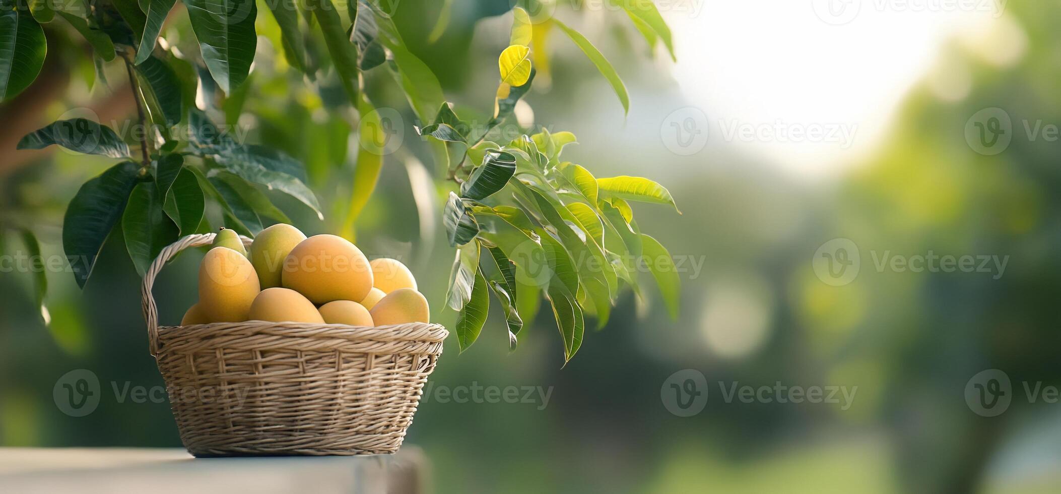 A basket of lemons resting on a surface with greenery in the background. photo