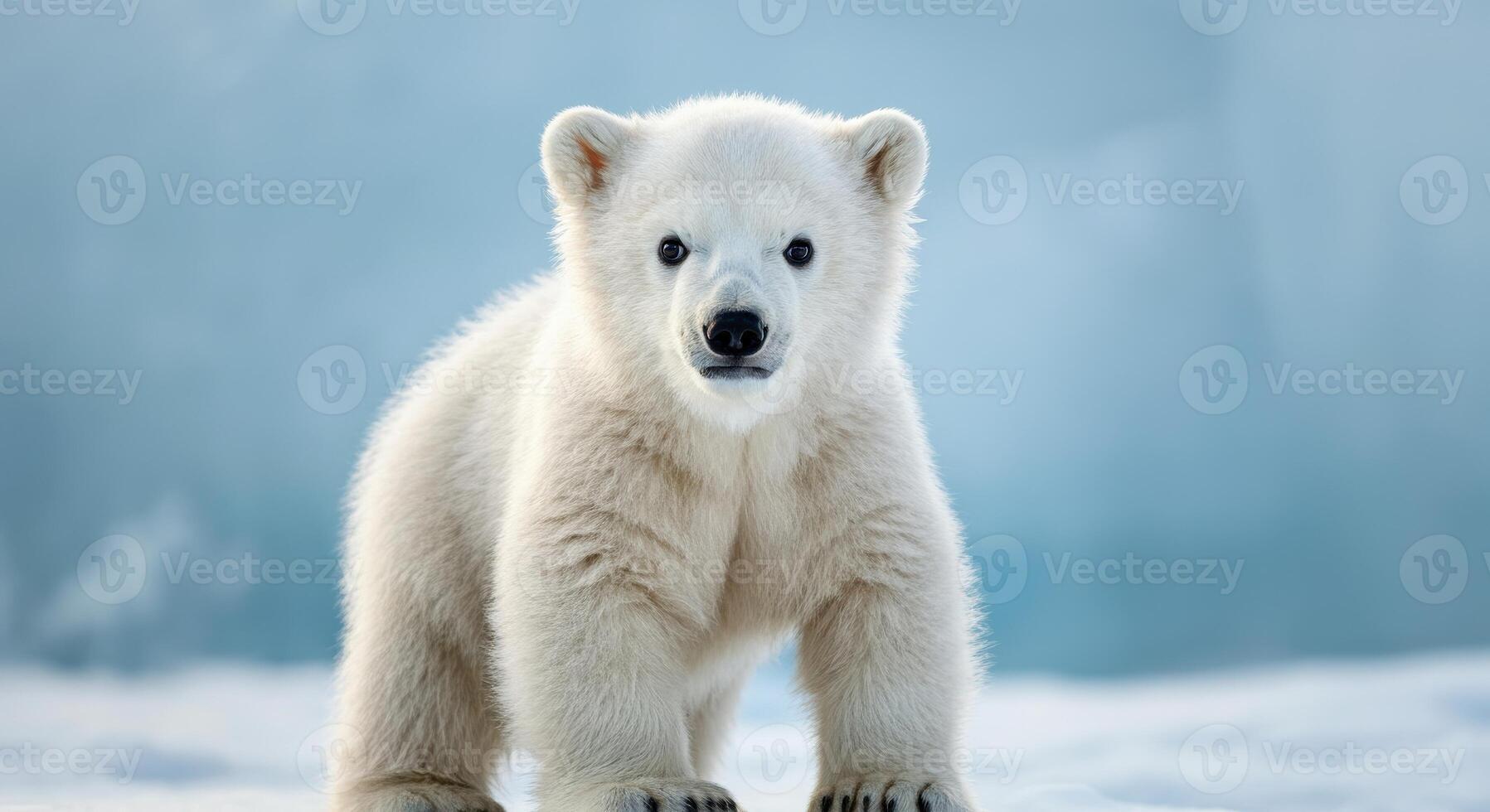 Curious polar bear cub in arctic snowy landscape exploring ice world photo