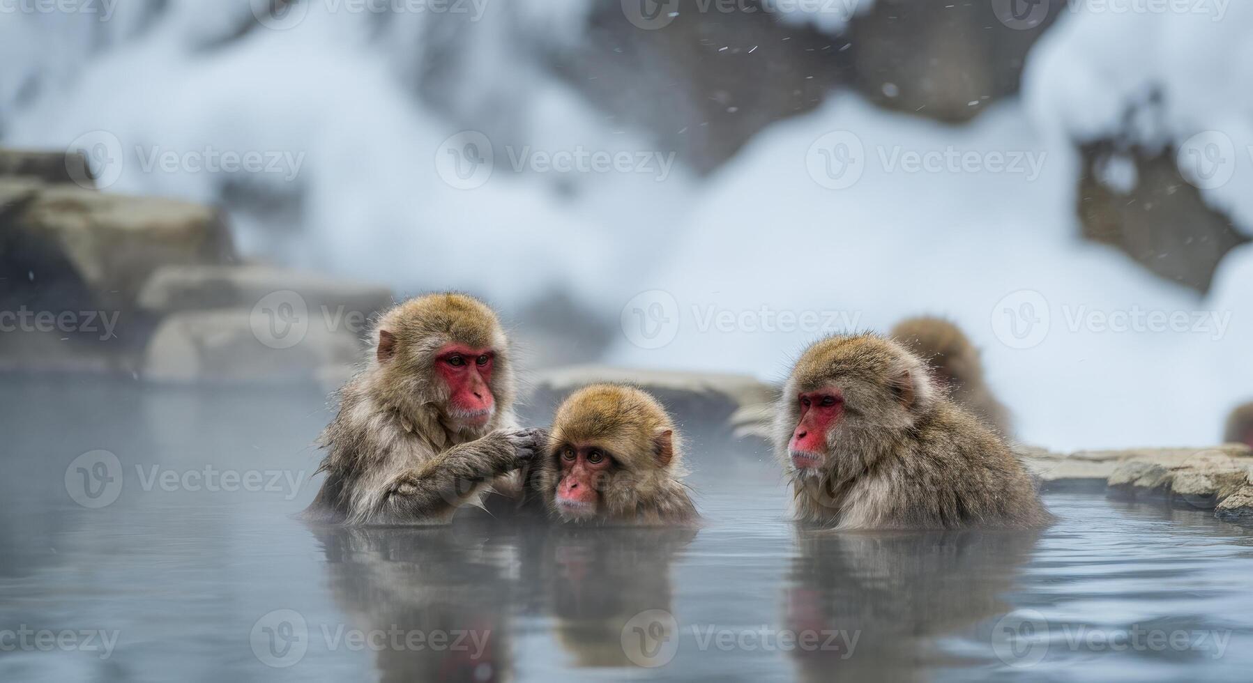 Snow monkeys relaxing in a hot spring amidst winter landscape in japan photo
