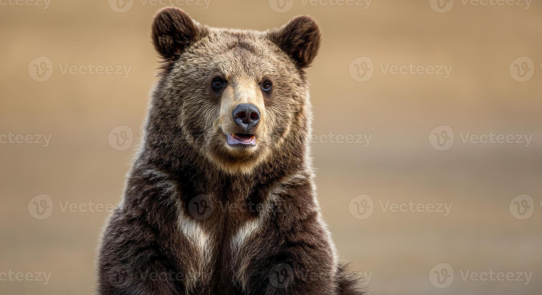 Majestic brown bear in natural habitat photo