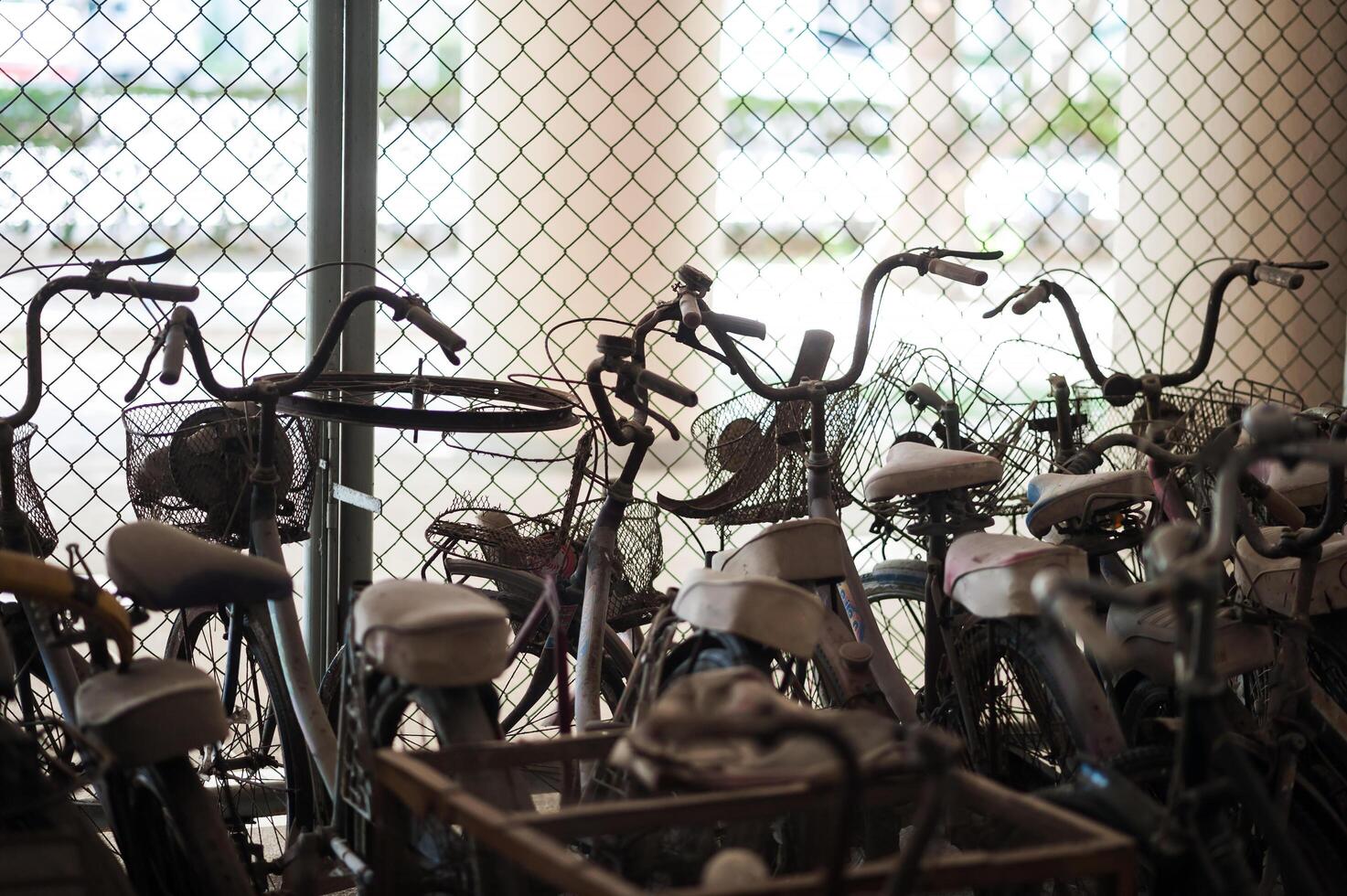 Old bicycle in soft light photo
