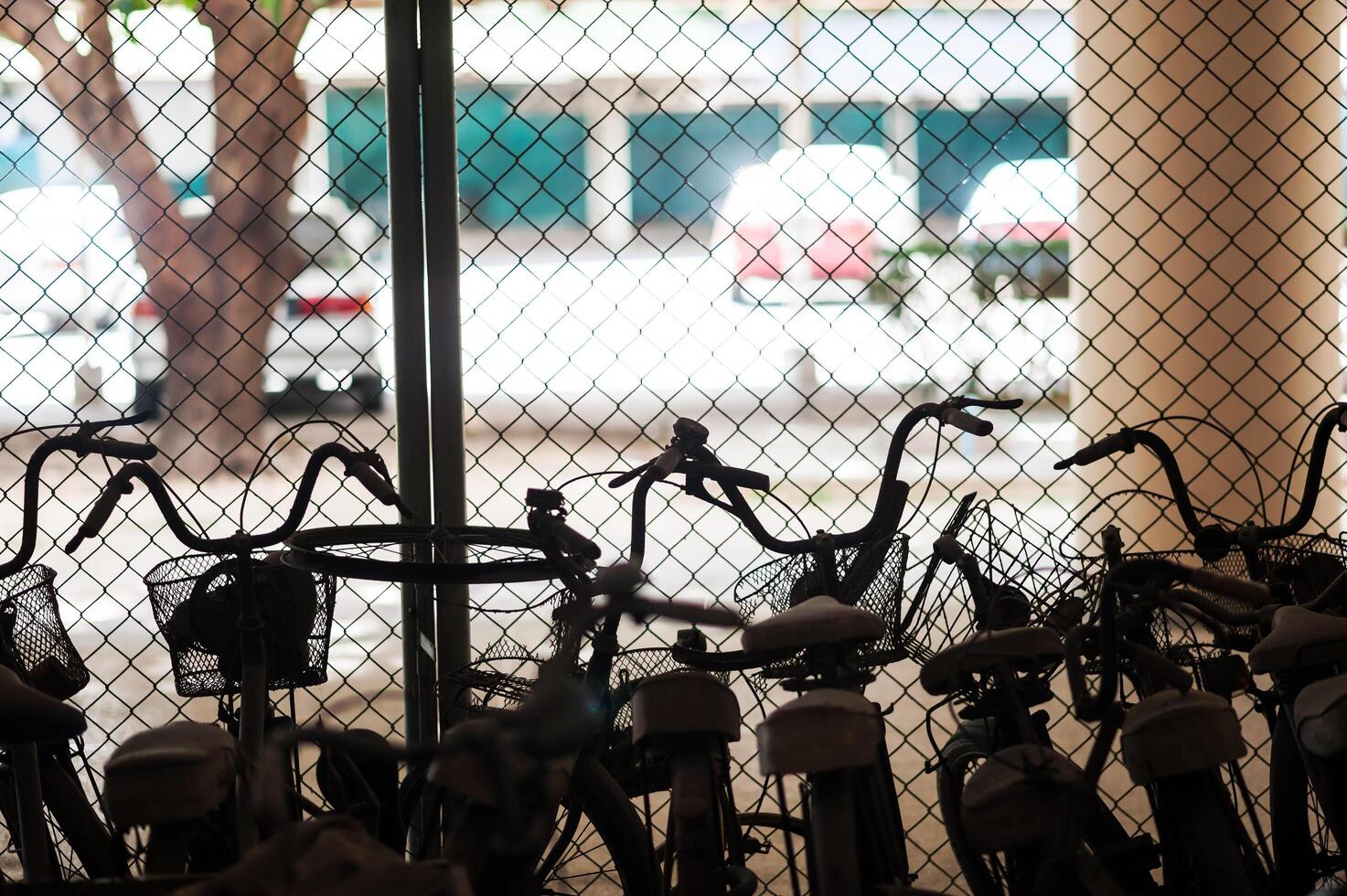 Old bicycle in soft light photo