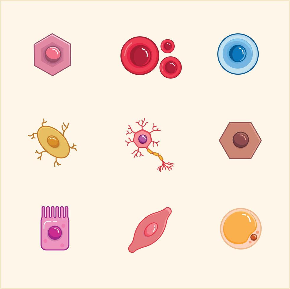 Body cells icons vector