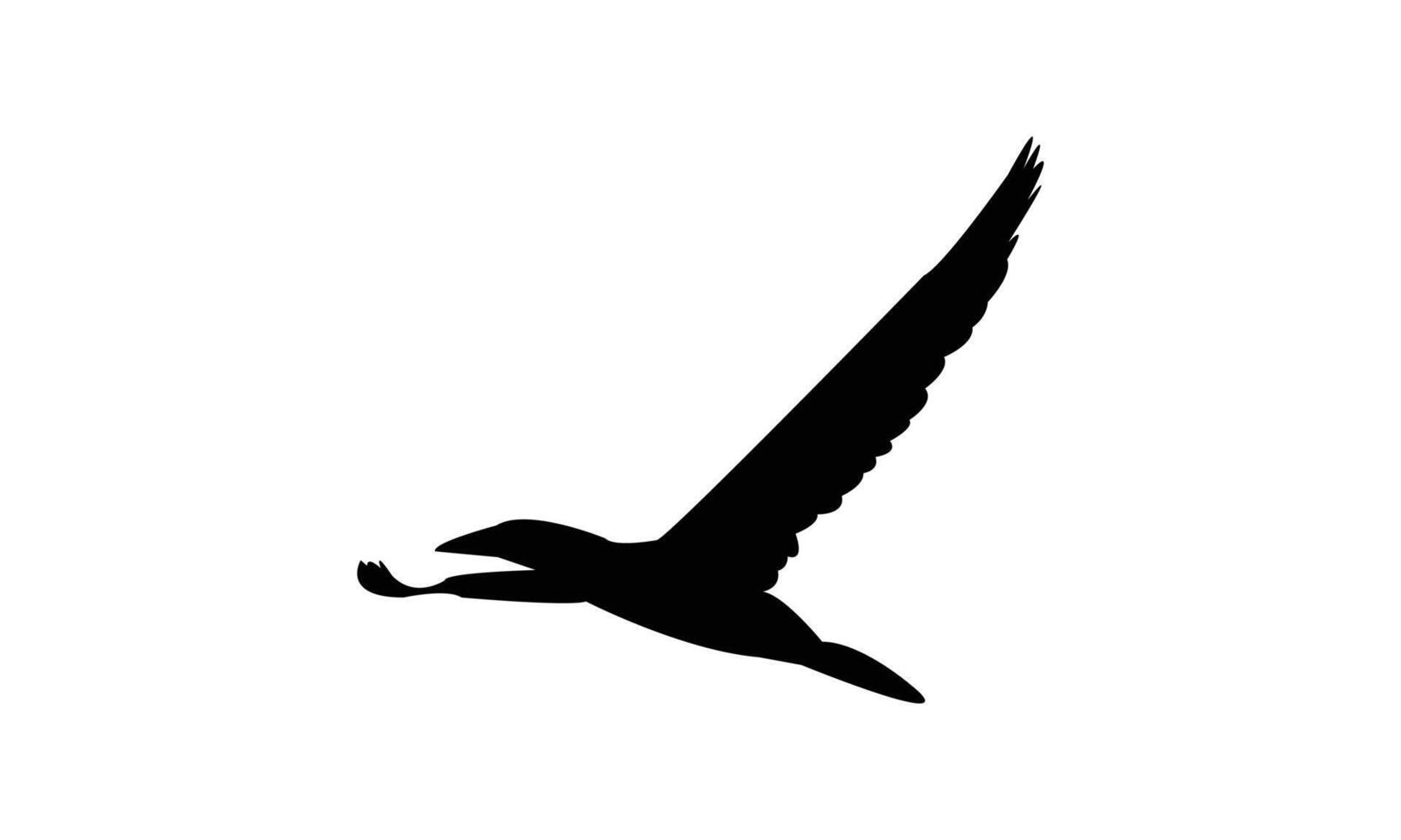 Flying Boobie Bird Black Silhouette Design vector