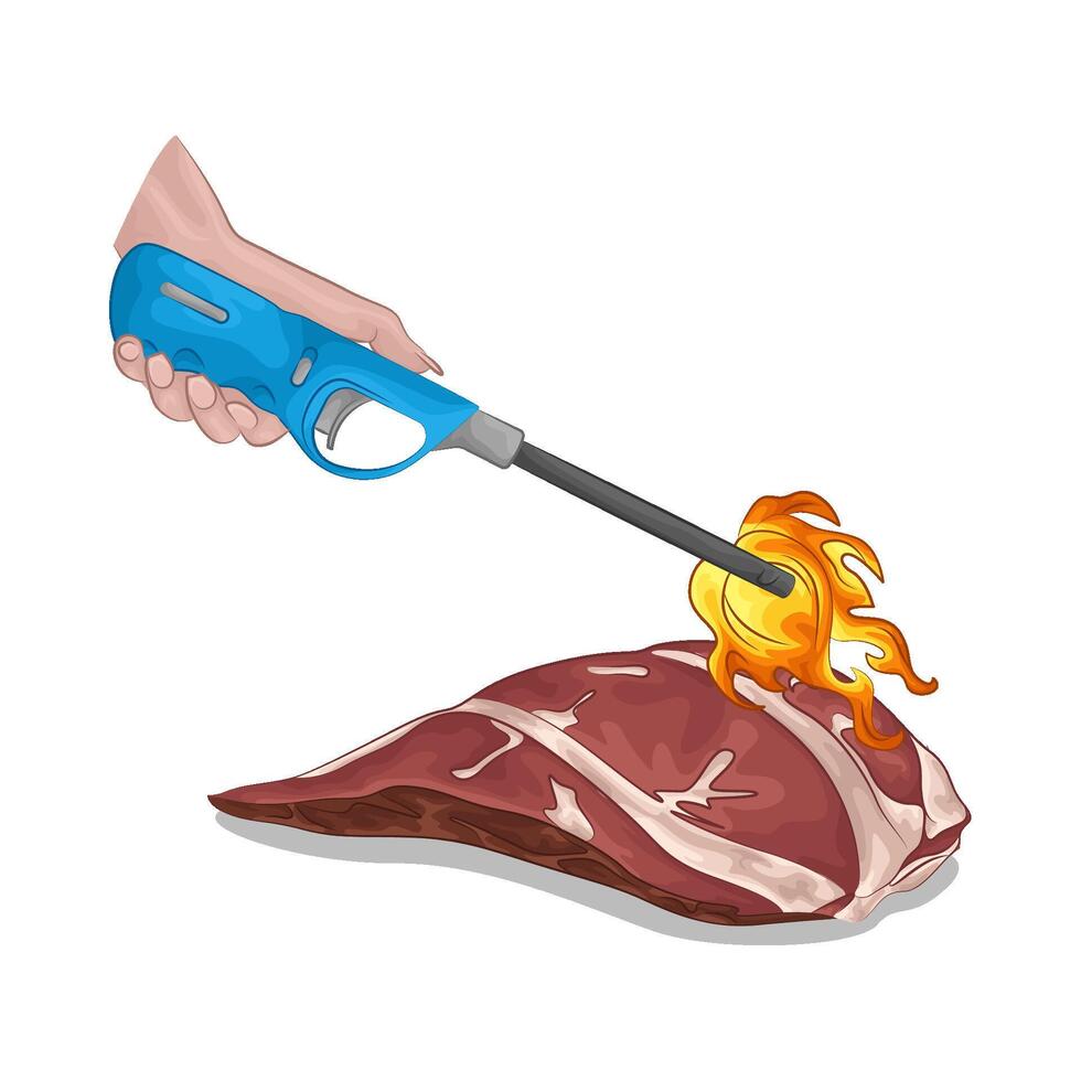 gas lighter with meat vector